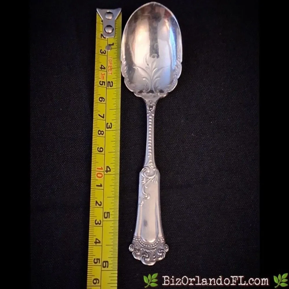 VINTAGE: Wm. A. Rogers Oneida Silverplate Sugar Spoon Aurora Pattern AKA Empress